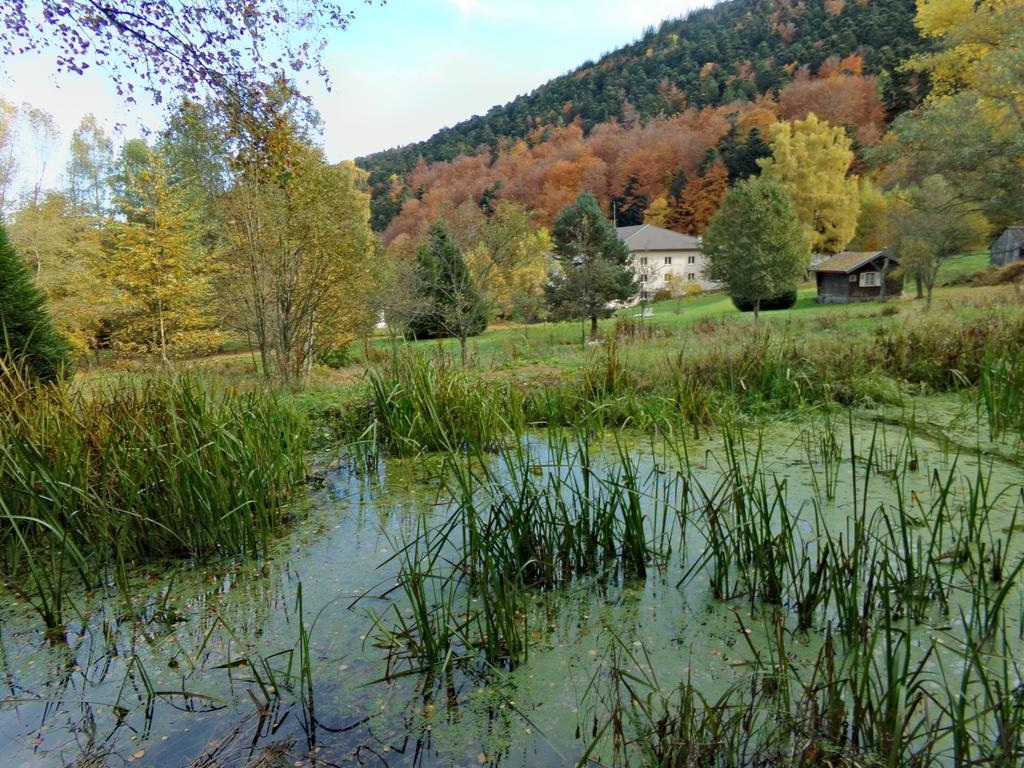 Hotel-Spa & Restaurant Logis Domaine Langmatt Murbach Kültér fotó