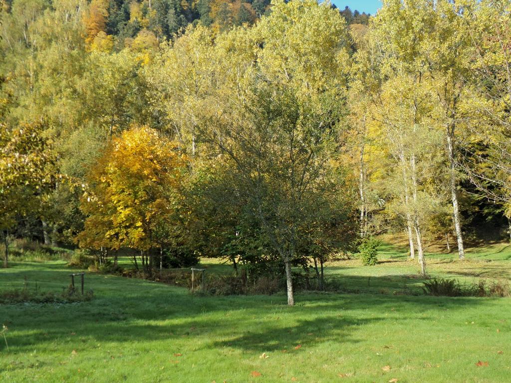 Hotel-Spa & Restaurant Logis Domaine Langmatt Murbach Kültér fotó